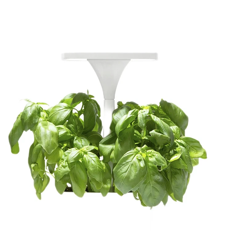 2x Short Stories LED Indoor Planter White USB Powered Modern Decor New in Boxes
Opens in a new windo