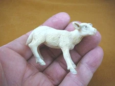 (moose-11) baby white Moose cow of shed ANTLER figurine Bali detailed carving