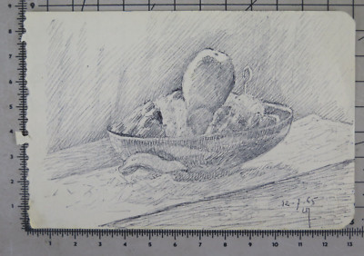 Drawing Original artwork by Leon Nancey Nature Still DATAT0 1965 NZ6