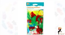 Craft Feathers Coloured Large Small Fluffy Children Art & Craft Hat Decor