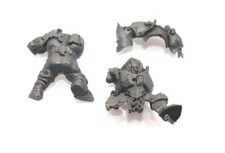Warhammer Age of Sigmar Orruk Warclans Ironjaws 'Ardboy Body A