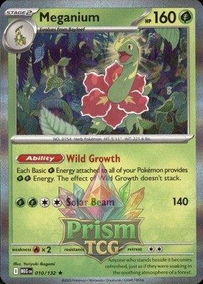 Meganium 10/132 Rare Holo Mega Evolution Pokemon