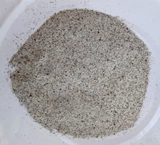 Eva Impex Siraf Ak Booti - Euphorbia Hirta (Hazar Dani)