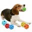 thumbnail 2 - Pet Dog Puppy Cat Training Dental Toy Rubber Ball Chew Treat Dispensing Holder B