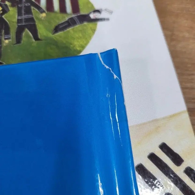 Children's Biographies Book Set of Famous Figures - Complete Collection