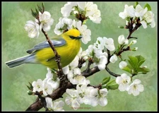 Herald of Spring - DIY Chart Counted Cross Stitch Patterns Needlework DMC   