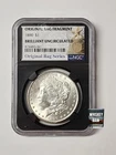 1890 Morgan Original Bag Fragment Series NGC Brilliant Uncirculated 061