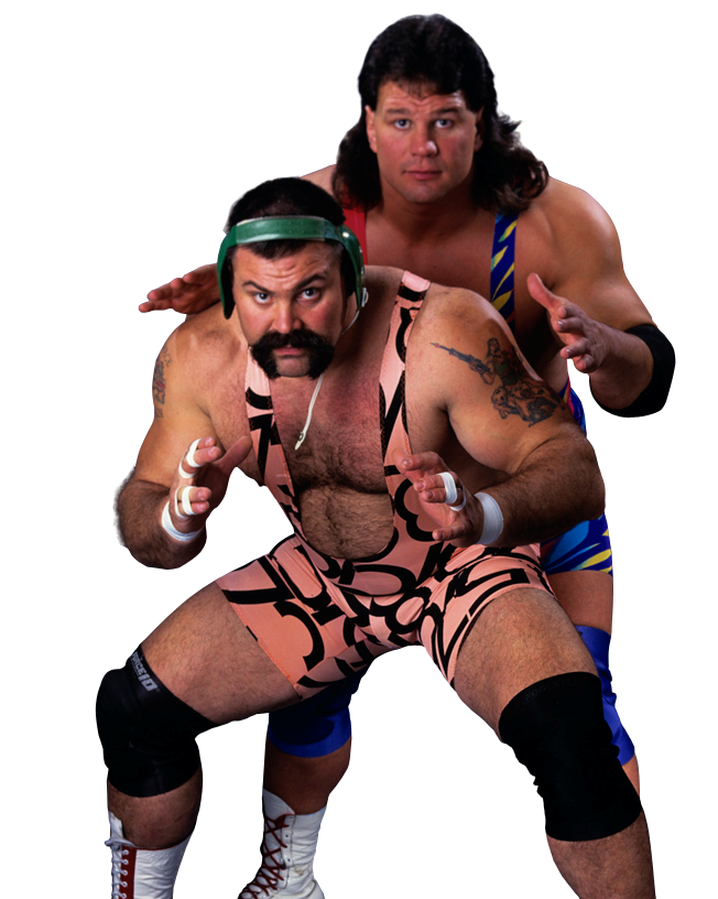 THE STEINER BROTHERS 8X10 PHOTO WRESTLING PICTURE WWE WWF WCW | eBay