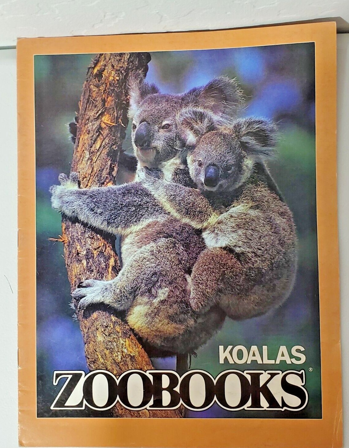 ZooBooks Vintage Pandas, Hippos, Insects, Eagles,Rattle Snakes, snd