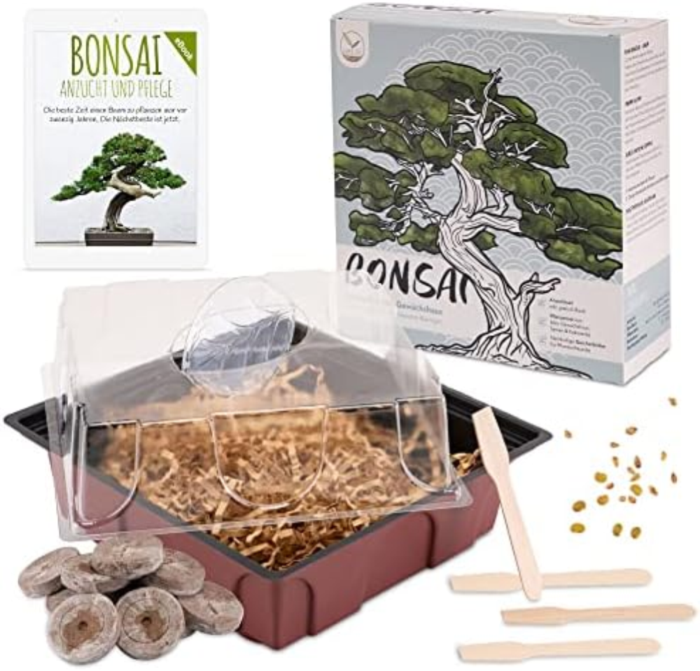 Bonsai Kit incl. eBook Gratuito - Starter Set con Mini Serra, Semi e Suolo - Ide