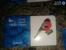 RSPB Pin Badge NIIC Bullfinch P03051