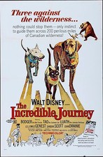 INCREDIBLE JOURNEY, Buena Vista, R-1969, ORIGINAL DISNEY MOVIE, 😍PETS