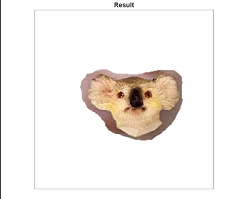 Пост о серьгах в виде Коалы для обсуждения концепций 2490₽