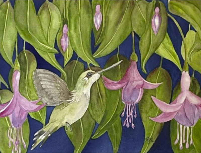 PAINTING WATERCOLOR 11X14 DOUBLE MAT 16X20 FLOWERS FUCHSIAI PNK HUMMINGBIRD BIRD