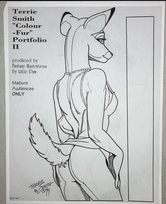 Vintage Terri Smith Portfolio  Colour-Fur 2  (1993-94)