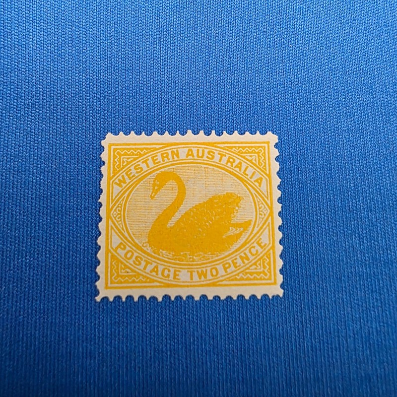 Western Australia #91b postage stamp rare 12 1/2 x11 perf, 2 p yellow swan, wmk 