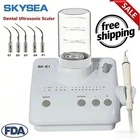 For Cavitron Dental Ultrasonic Piezo Scaler 2*Bottles fit EMS SKYSEA SKYSEA