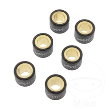 JMT Roller Weight Kit 8.0 G JMP 16X13mm 6 PCS