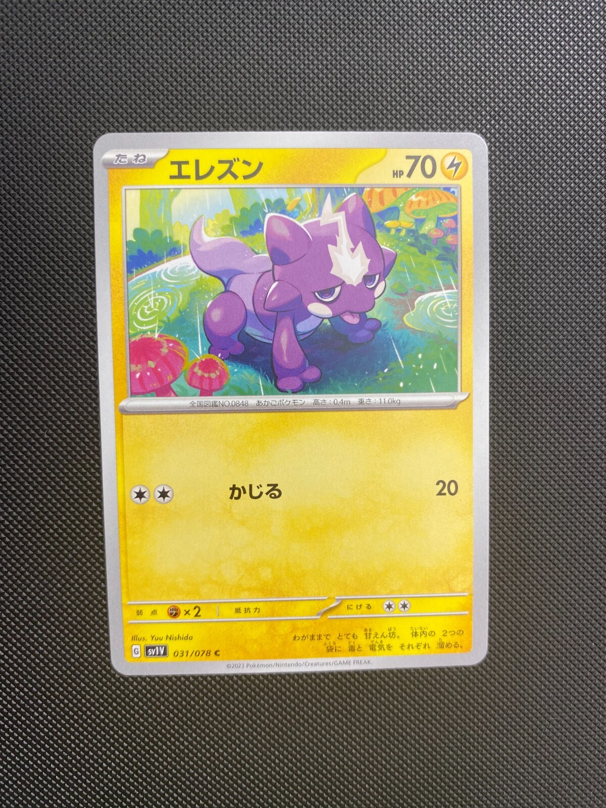 Toxel 031/078 Pokemon Violet Scarlet EX SV1V Japanese Card US SELLER