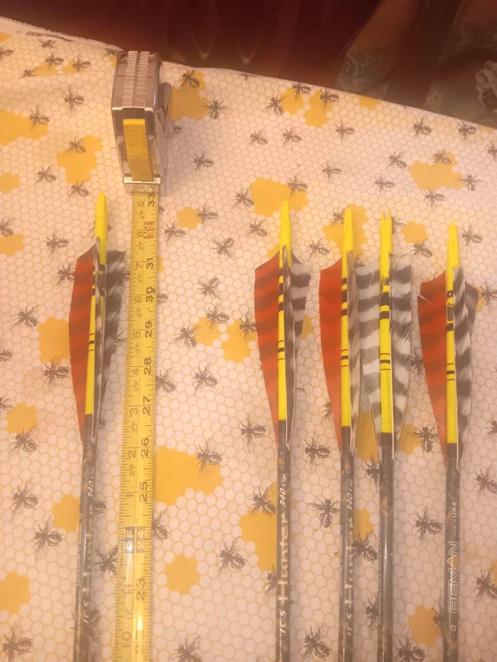 Beman Carbon ICS Hunter 340 Arrows (9) - Image 3 of 4