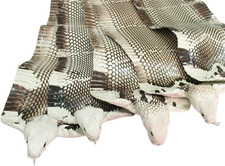 Cobra Snake Skin Snake Leather Hide Splitting Snakeskin with Head Cobra