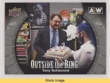 2022 AEW All Elite Wrestling Outside the Ring Silver Tony Schiavone READ 0nr3