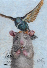 KMCoriginals PRINT Rat bird Starling landing on head Reproduction ACEO art