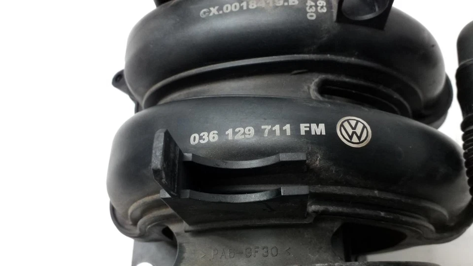 Puente de admisión Volkswagen Golf IV 1997-2003 036129711FM Foto 4 de 4