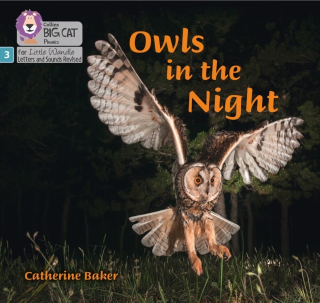 Owls in the Night Phase 3 Set 2 by Catherine Baker (Paperback Book)
