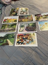 Lot of 10 Floral Illustrated Blank Notecards with Envelopes UNUSED.