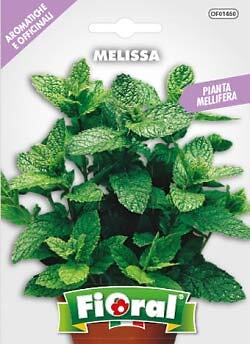 Sementi di piante aromatiche e officinali in bustina ad uso amatoriale (Z0h) - Foto 1 di 1