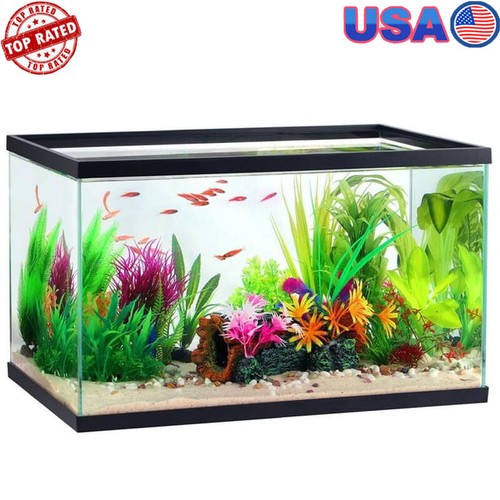 10 Gallon Clear Glass Aquarium Breeder Tank Double Rectangle for Aquatic Pets US