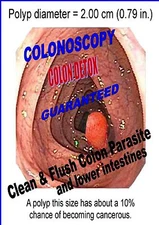 COLONOSCOPY COLON DETOX Clean & Flush Colon Parasite and lower intestines 