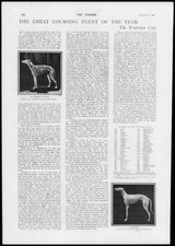 1900 LANCASHIRE Great Altcar Waterloo Cup Coursing Fullerton Greyhounds (56)