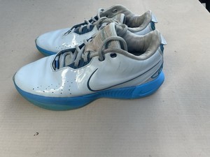lebron james shoes ebay