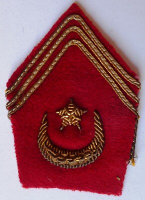Abzeichen Kragenpfote Sahara Compagnie Méhariste Sahara goldbestickt ORIGINAL