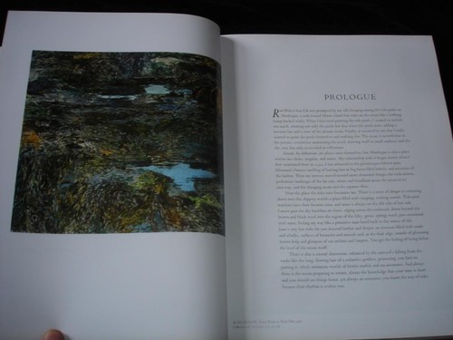 A SENSE OF PLACE: THE ARTIST & THE AMERICAN LAND Alan Gussow art history - Picture 6 of 14