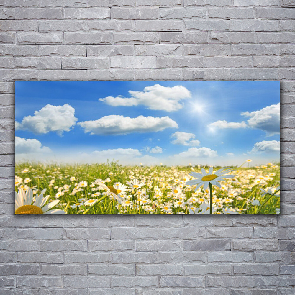 Impression Nature Marguerite sur verre acrylique pour illuminer votre salon chaleureux