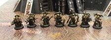 Deathguard 7x Plague Marines - Masterfully Painted 5459