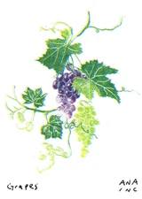 9/28 Over 150+ Individual Mini Print LOOK Anastasia Inciardi Machine Prints