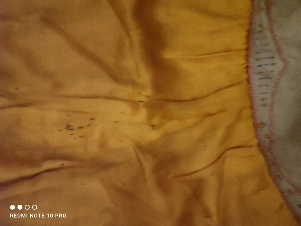 Coussin Brodé Ancien Fleurs &Cygne Vintage 1930 - Photo 4/4