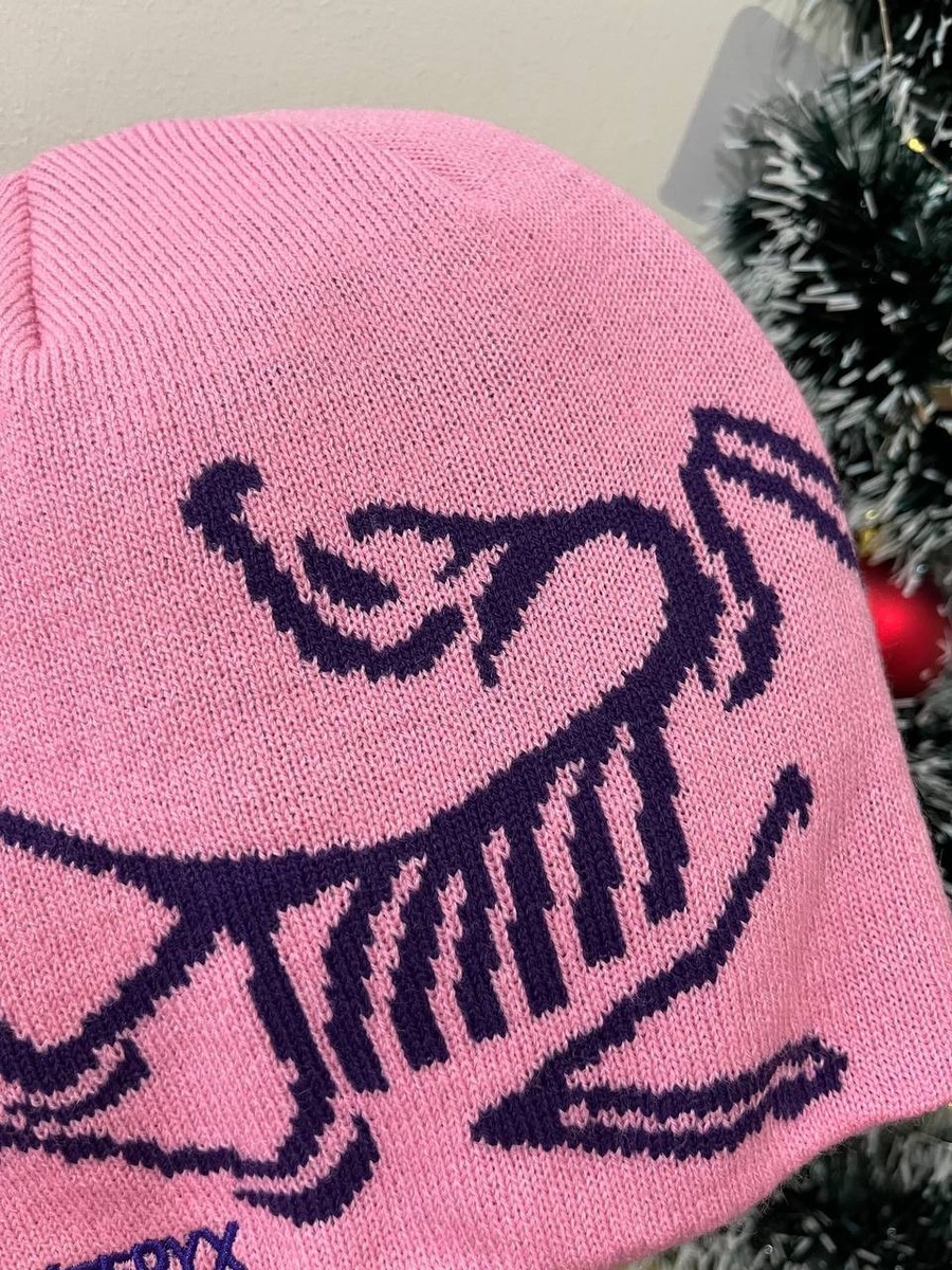 Arc'teryx Bird Head Toque Beanie Pink New With Tags Authentic | eBay