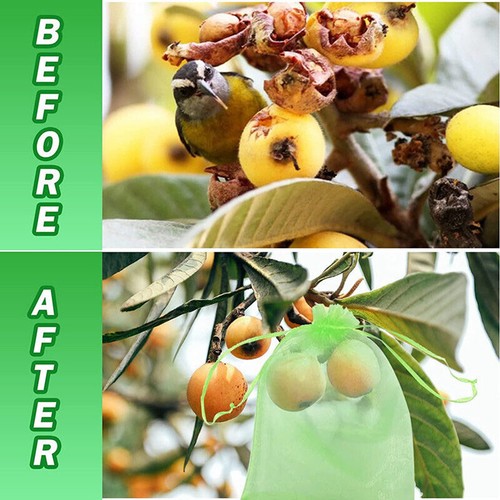 5 Sizes Fruit Fly Net Insect Mesh Vegetable Garden Plant Crop Protection Bags AU - Picture 7 of 19