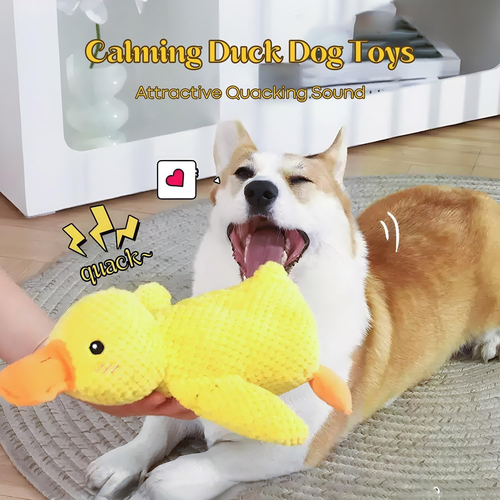 Peluche Anatra Con Squeak per Cani, Papera Quack Da Masticare per Cuccioli E Can - Foto 5 di 12