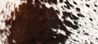 100% NEW COWHIDE LEATHER CUSHION COVER RUG COW HIDE HAIR (24" x 12") SA-8137 — photo 2