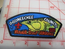 Occoneechee Council 2013 JSP collectible 209607 ? patch (b8)