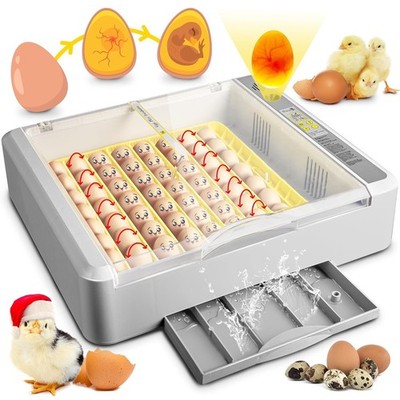 Incubadora de huevos, incubadora de 36-60 huevos con giro automático de huevos