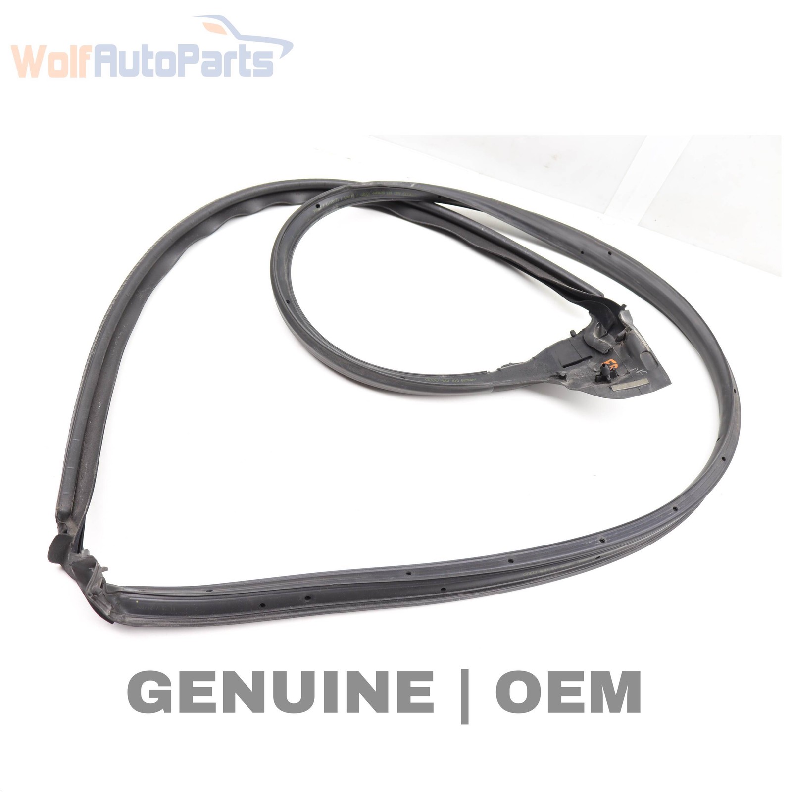2008-2012 2014-2015 AUDI R8 - Front Right DOOR SEAL / Weather Stripping (Outer)