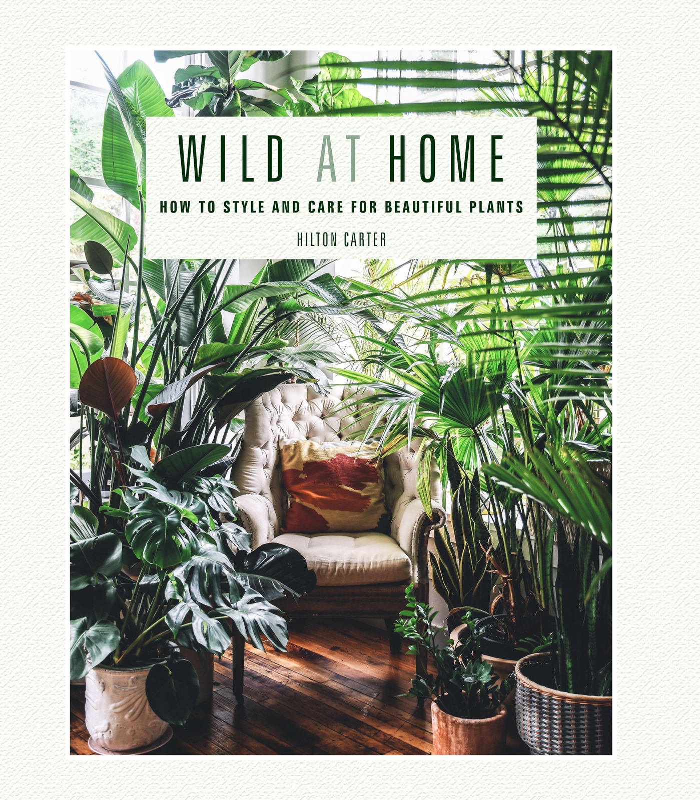 Thumbnail - Hilton Carter | Wild At Home | Buch | Englisch (2019) | Ryland Peters
