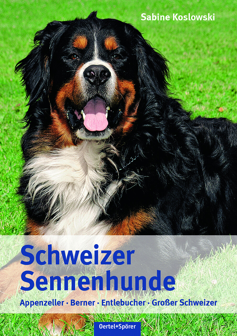 Thumbnail - Sabine Koslowski / Schweizer Sennenhunde
